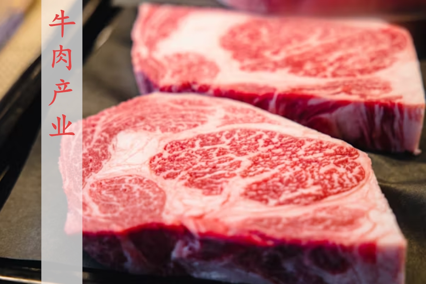 肉牛行业半年激变！2025年肉牛市场回顾和展望